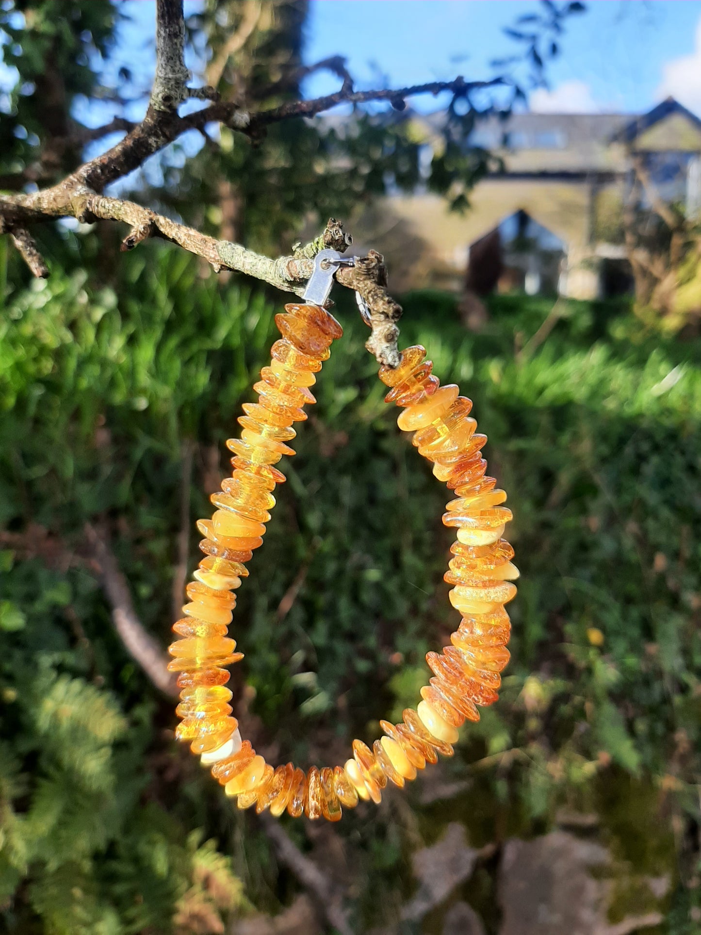 Amber Chip Bracelet - Lobster Clasp