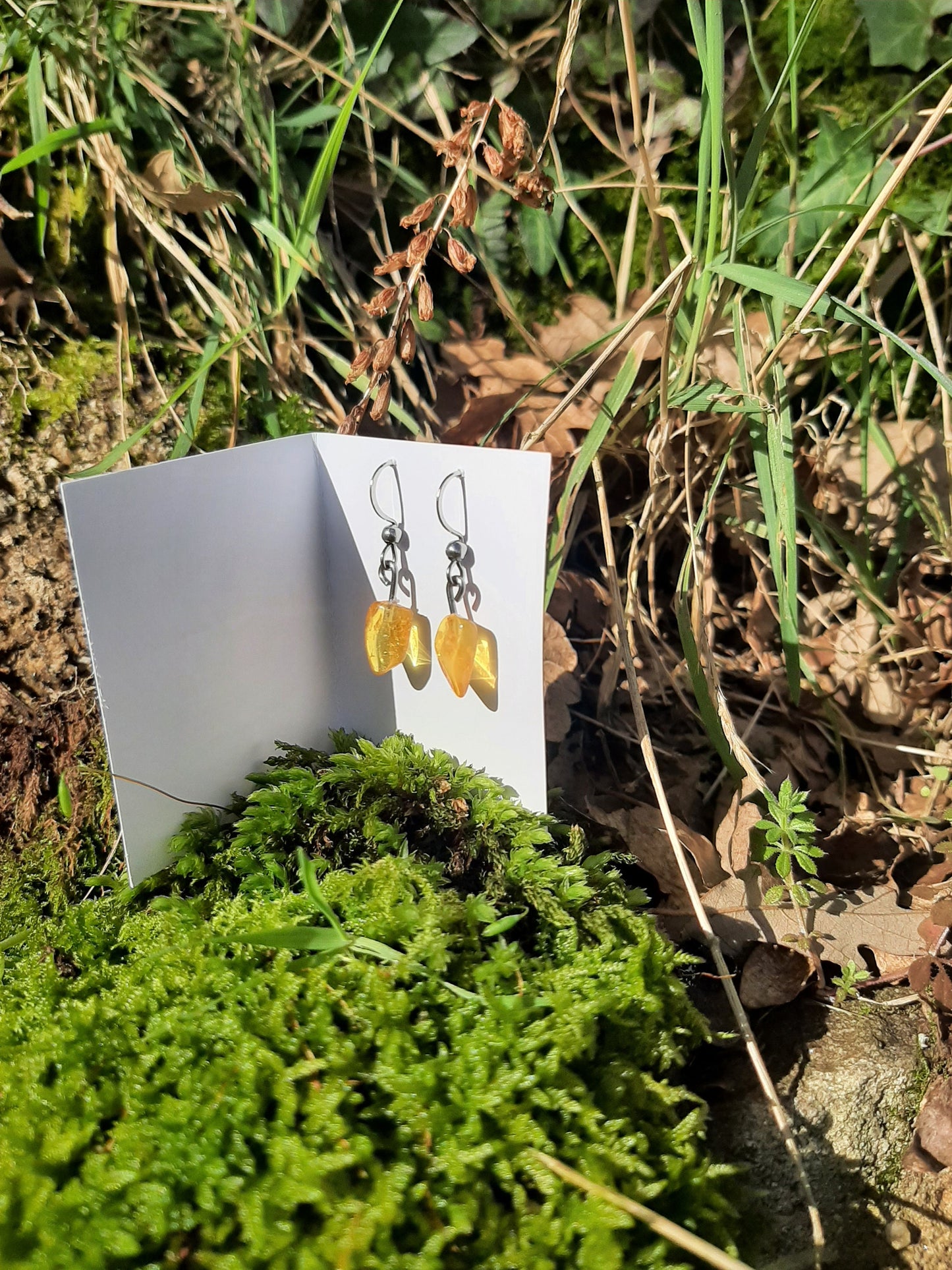Small Amber Pendant Earrings - Stainless Steel Hooks