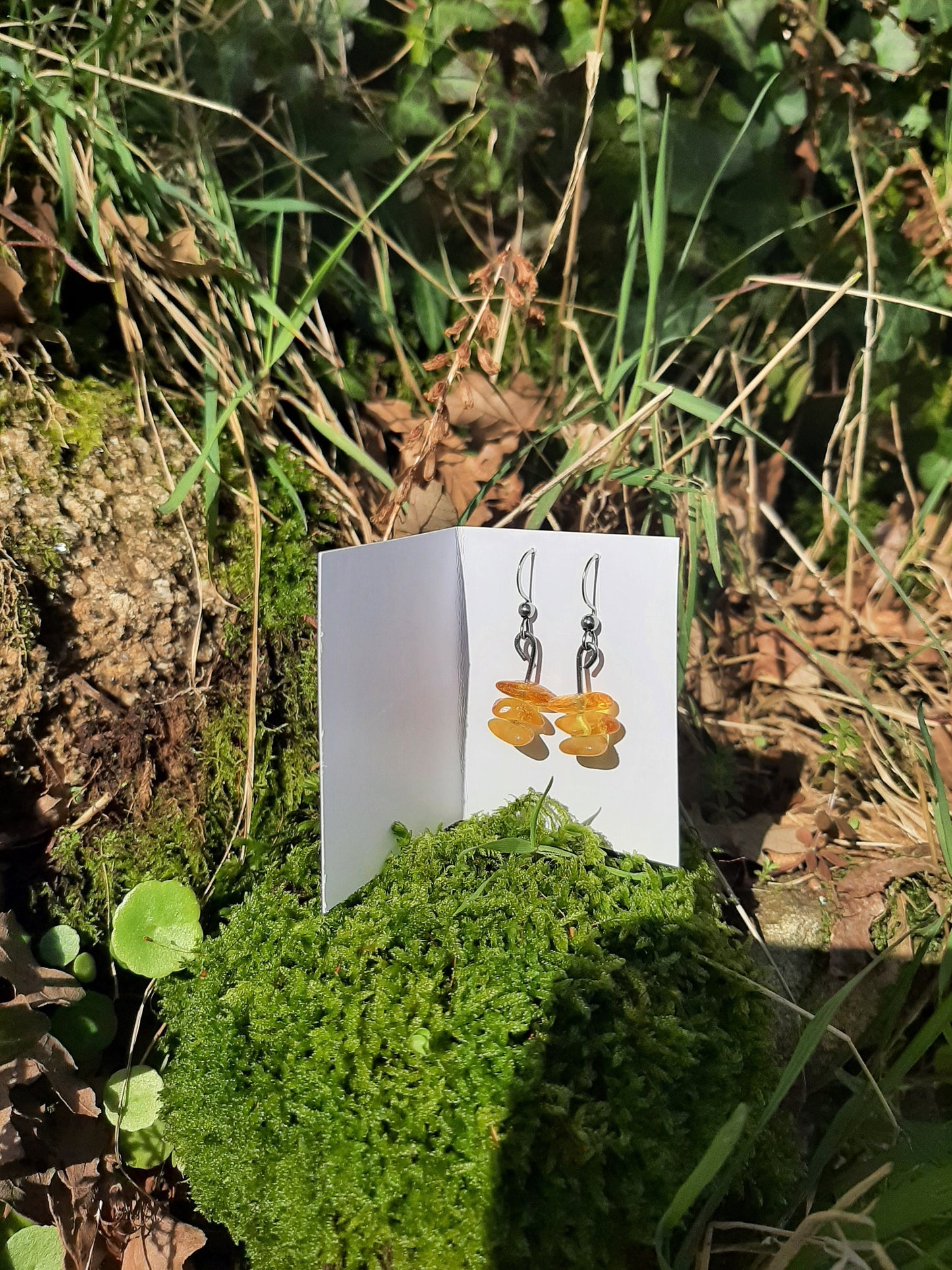 Stacked Amber Earrings - Stainless Steel Hooks