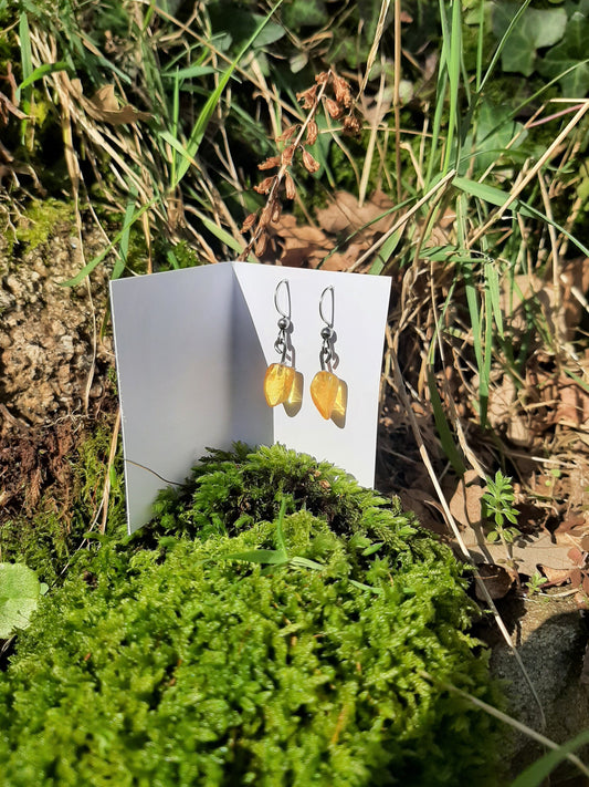 Small Amber Pendant Earrings - Stainless Steel Hooks