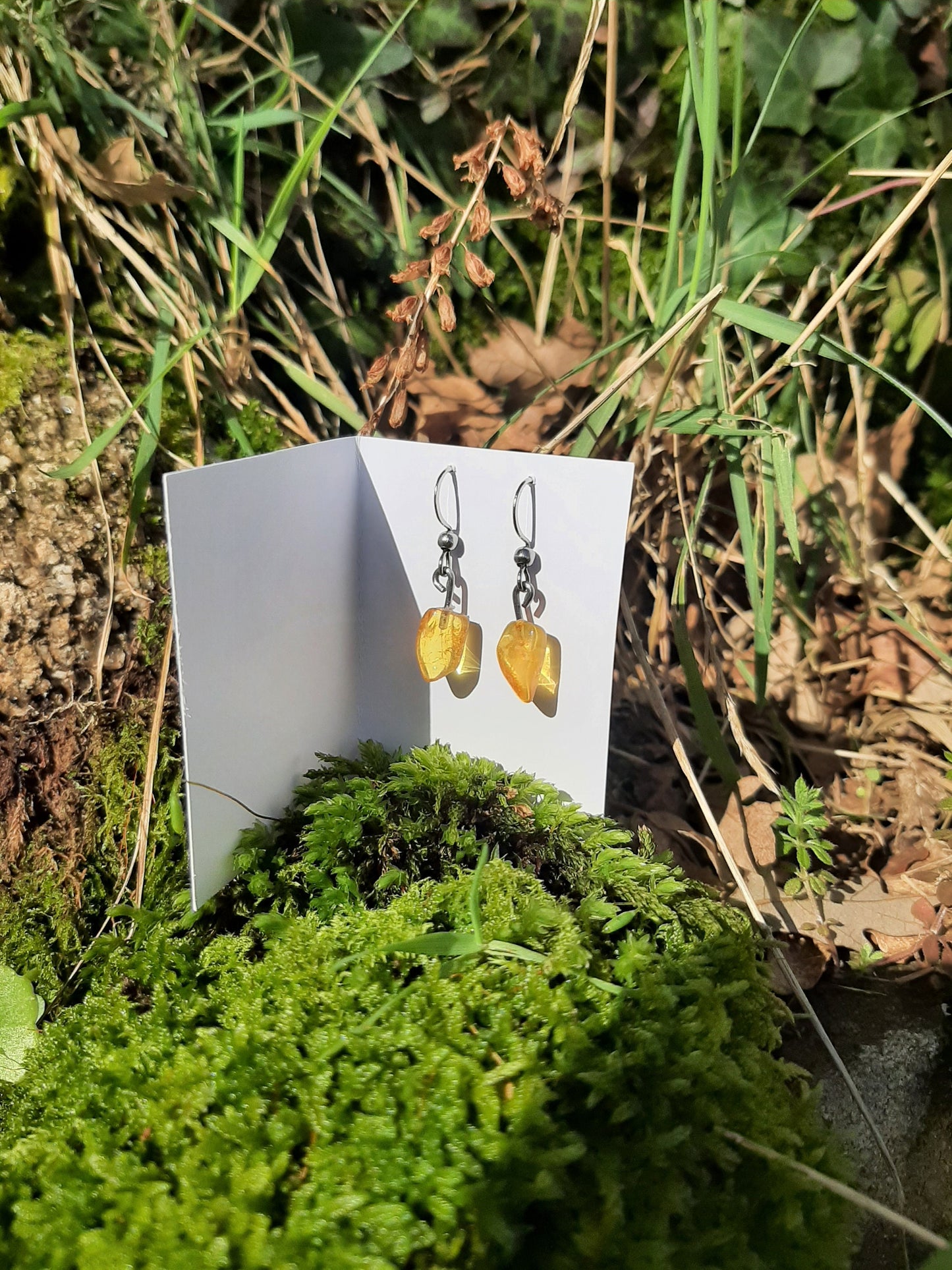 Small Amber Pendant Earrings - Stainless Steel Hooks