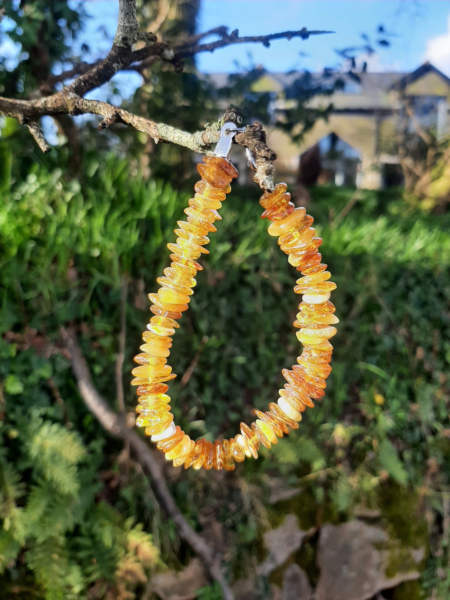 Amber Chip Bracelet - Lobster Clasp