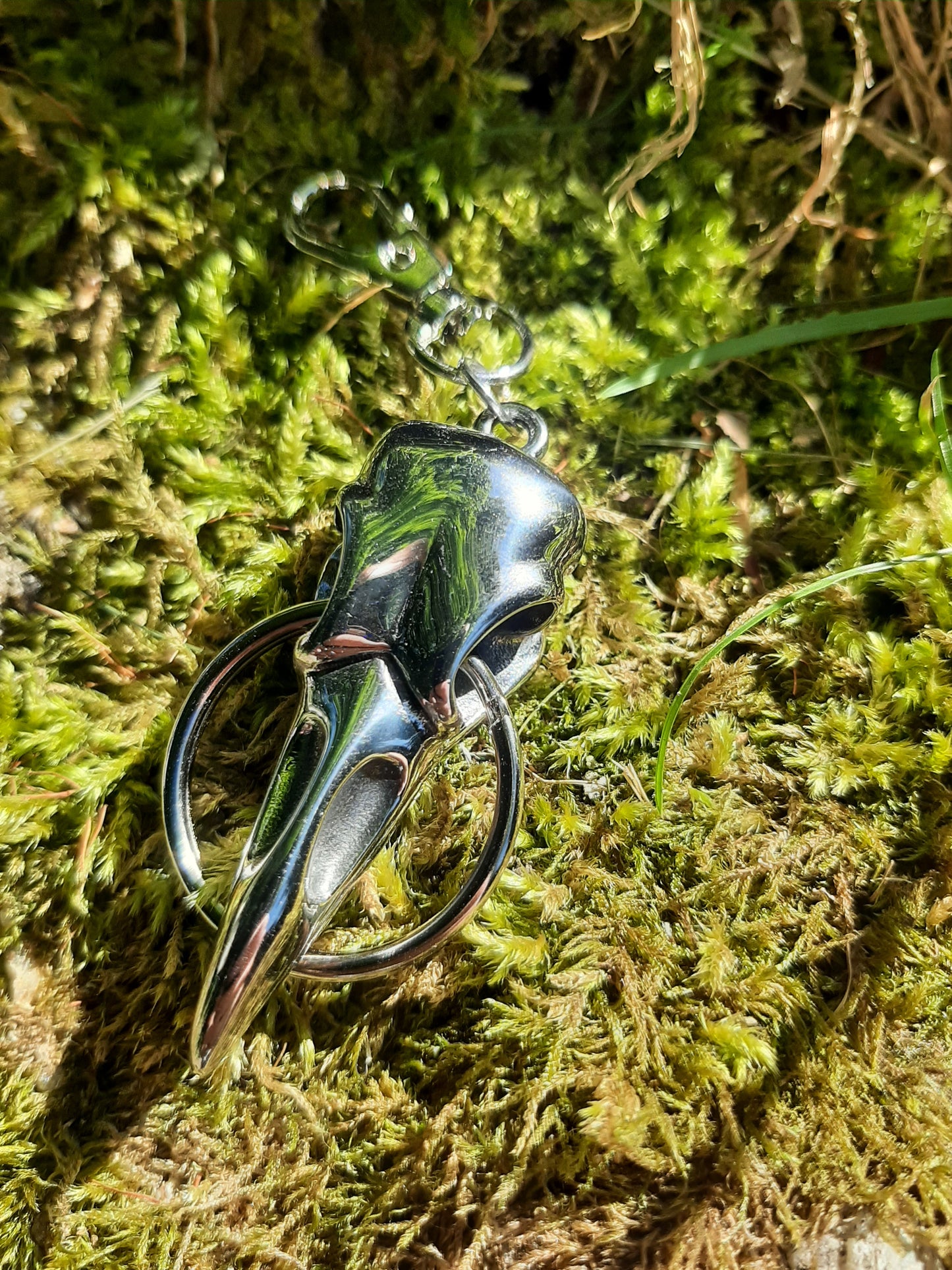 Raven Skull keyring - Stainless Steel