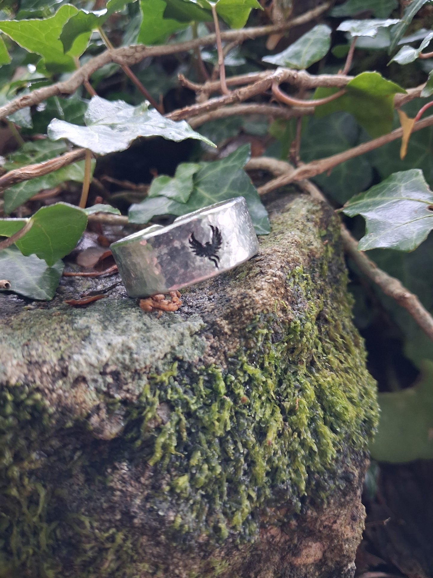 Phoenix Ring | Cast and hammered pewter | Open ring
